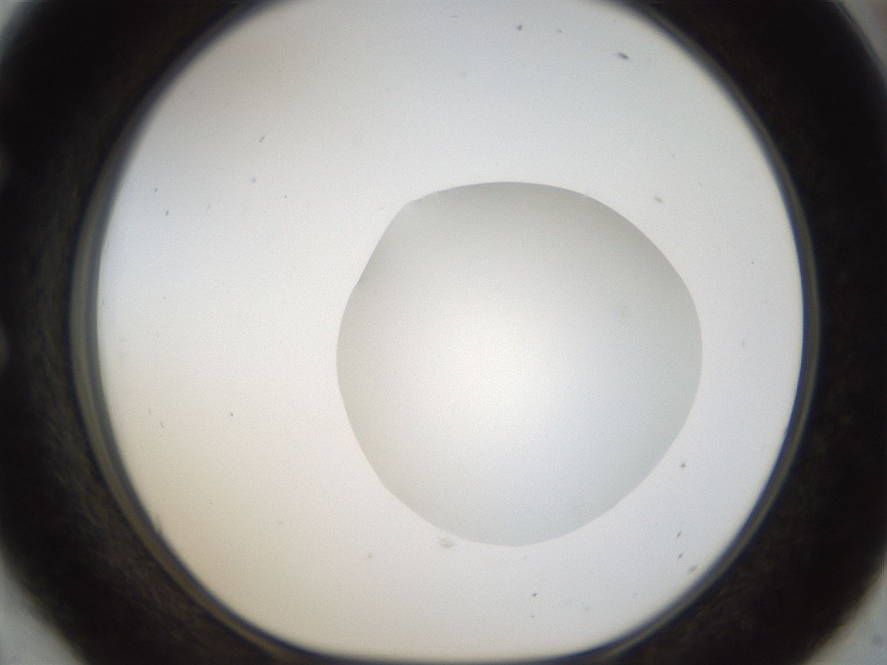 folderID20_plateID1020_batchID1883_wellNum54_profileID1_d1_r42745_ef.jpg