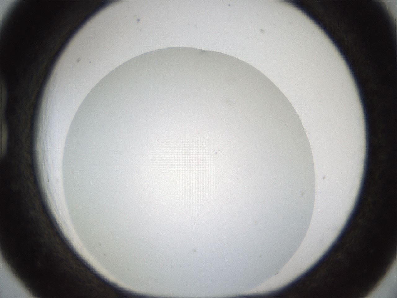 folderID213_plateID1213_batchID3626_wellNum18_profileID1_d1_r68994_ef.jpg