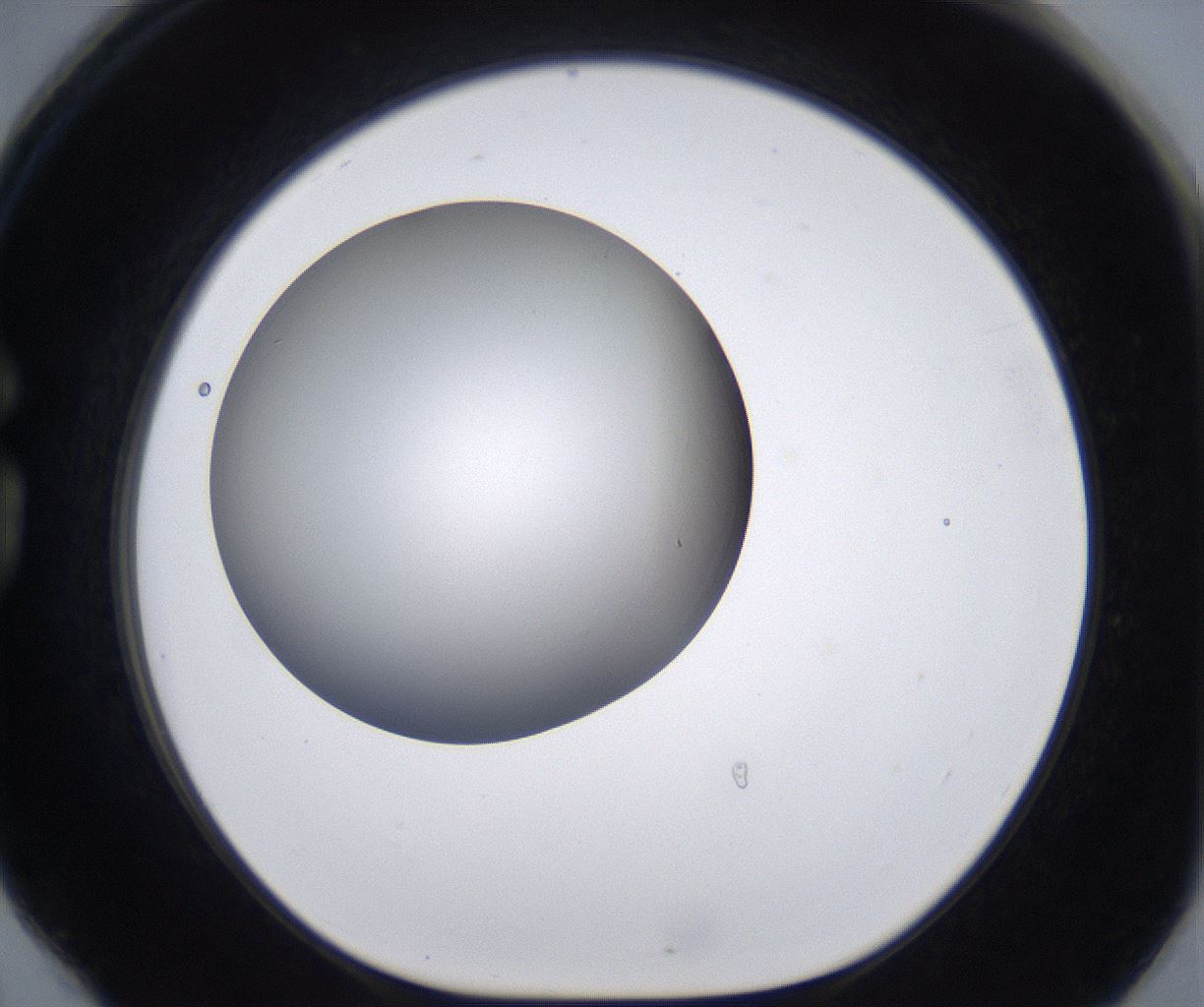 folderID213_plateID2213_batchID10048_wellNum78_profileID1_d1_r150673_ef.jpg