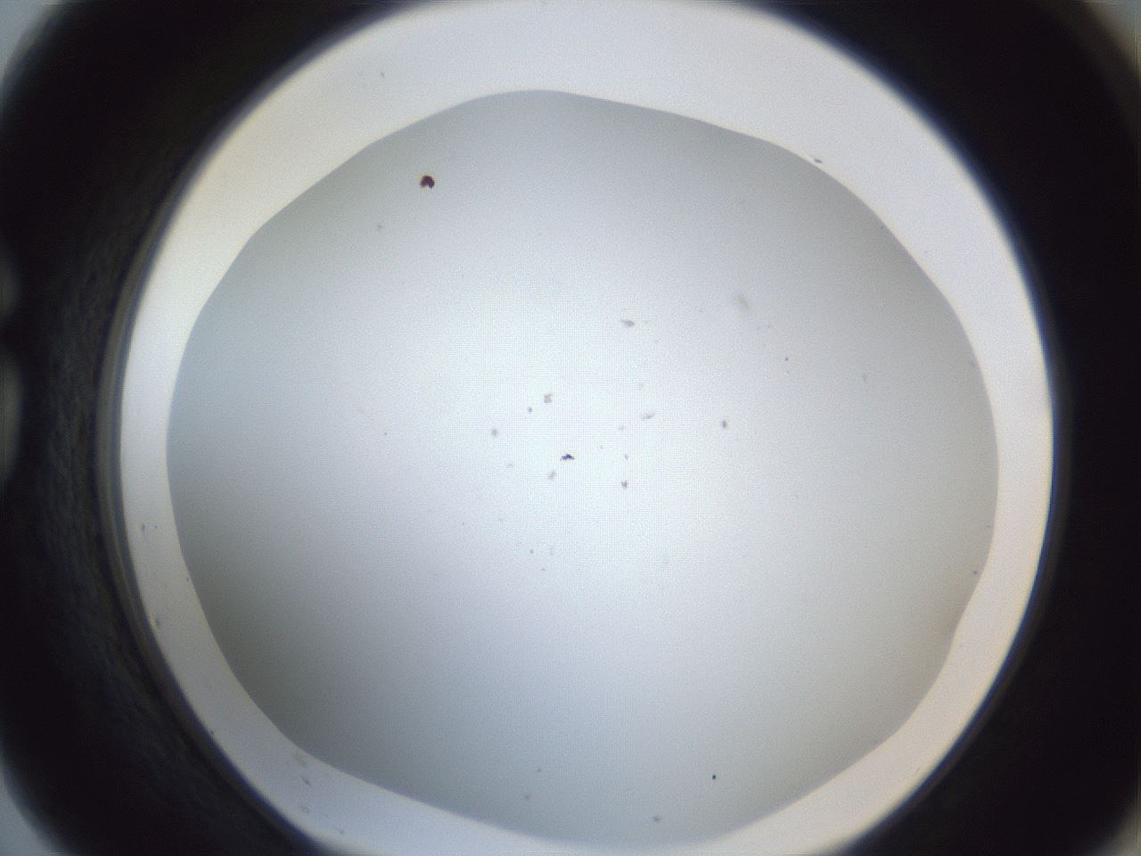 folderID217_plateID1217_batchID3625_wellNum75_profileID1_d1_r68916_ef.jpg