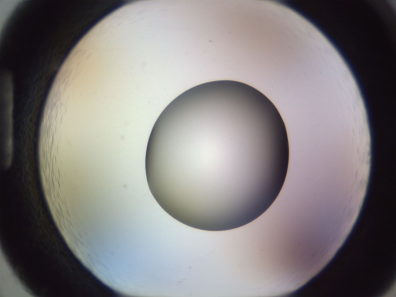 folderID452_plateID1452_batchID5530_wellNum86_profileID1_d1_r92273_ef.jpg