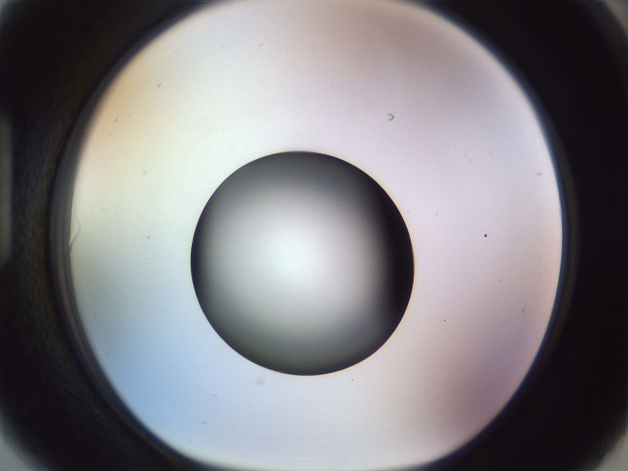 folderID452_plateID1452_batchID5530_wellNum90_profileID1_d1_r92277_ef.jpg