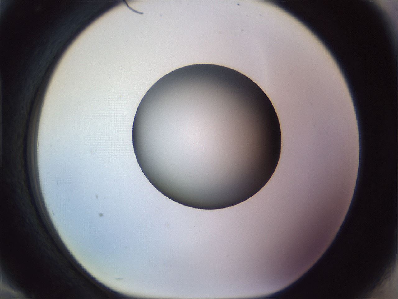 folderID452_plateID1452_batchID5530_wellNum94_profileID1_d1_r92281_ef.jpg