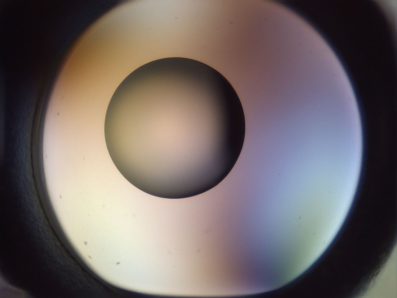 folderID452_plateID1452_batchID5530_wellNum96_profileID1_d1_r92283_ef.jpg