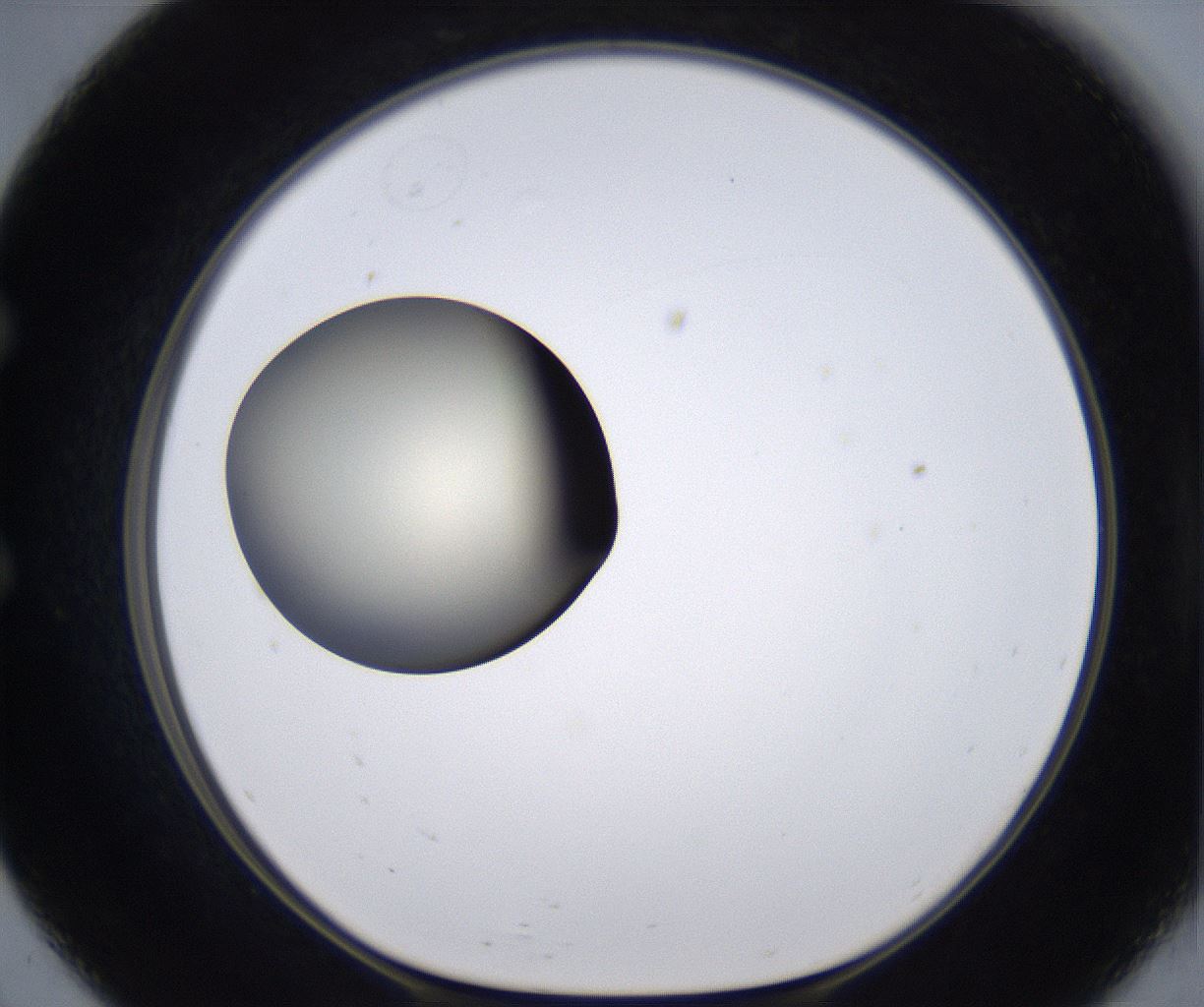 folderID204_plateID2204_batchID9975_wellNum57_profileID1_d1_r149615_ef.jpg