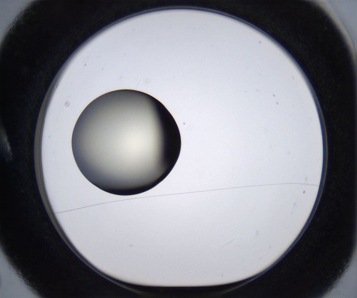 folderID204_plateID2204_batchID9975_wellNum5_profileID1_d1_r149563_ef.jpg