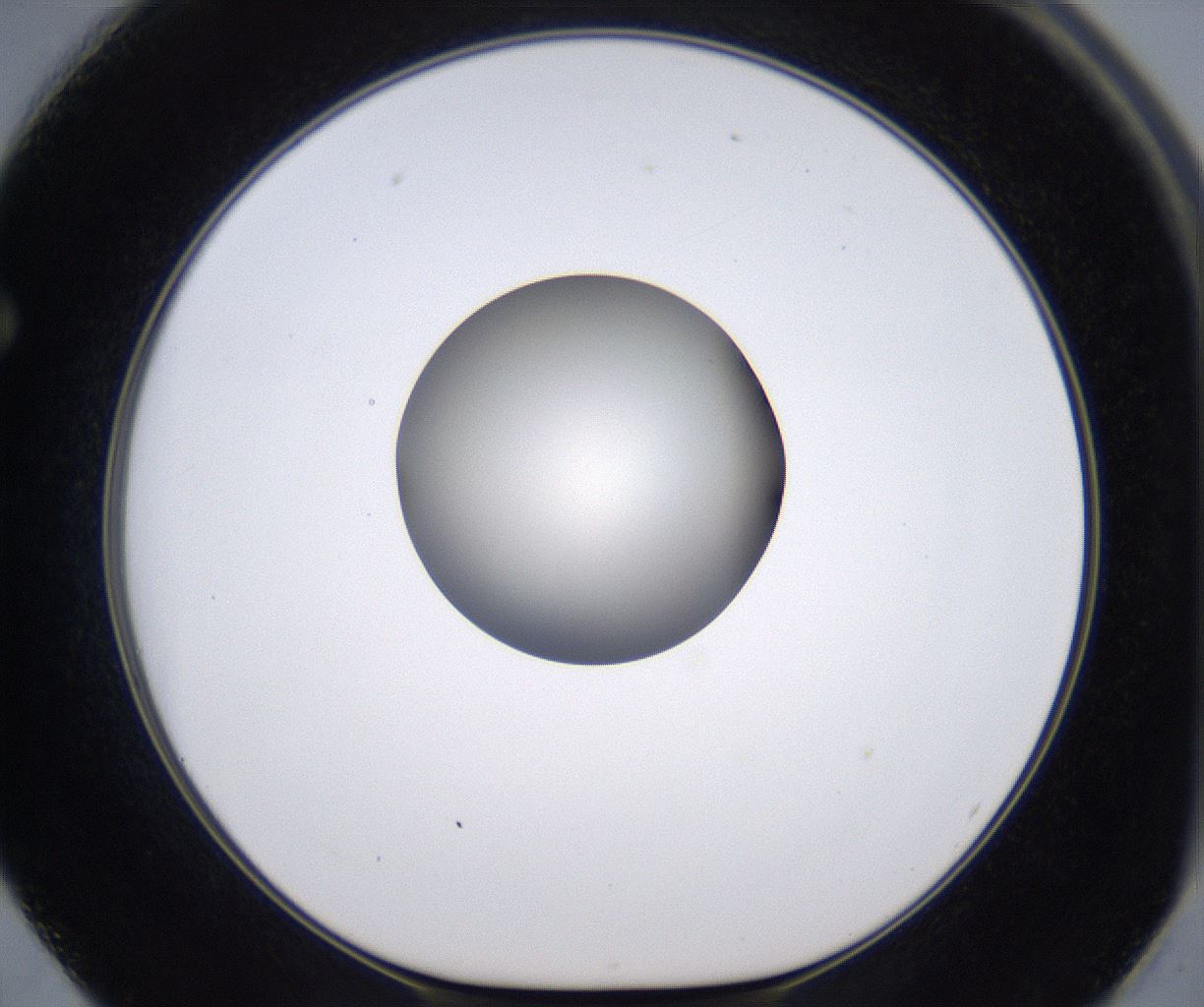 folderID204_plateID2204_batchID9975_wellNum62_profileID1_d1_r149620_ef.jpg