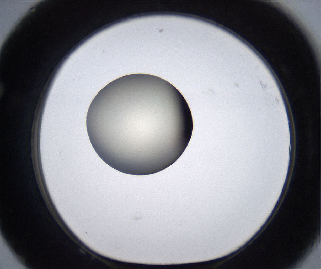 folderID204_plateID2204_batchID9975_wellNum68_profileID1_d1_r149626_ef.jpg