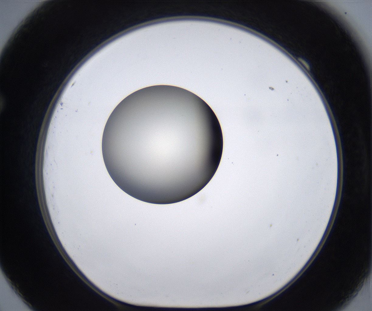 folderID204_plateID2204_batchID9975_wellNum69_profileID1_d1_r149627_ef.jpg