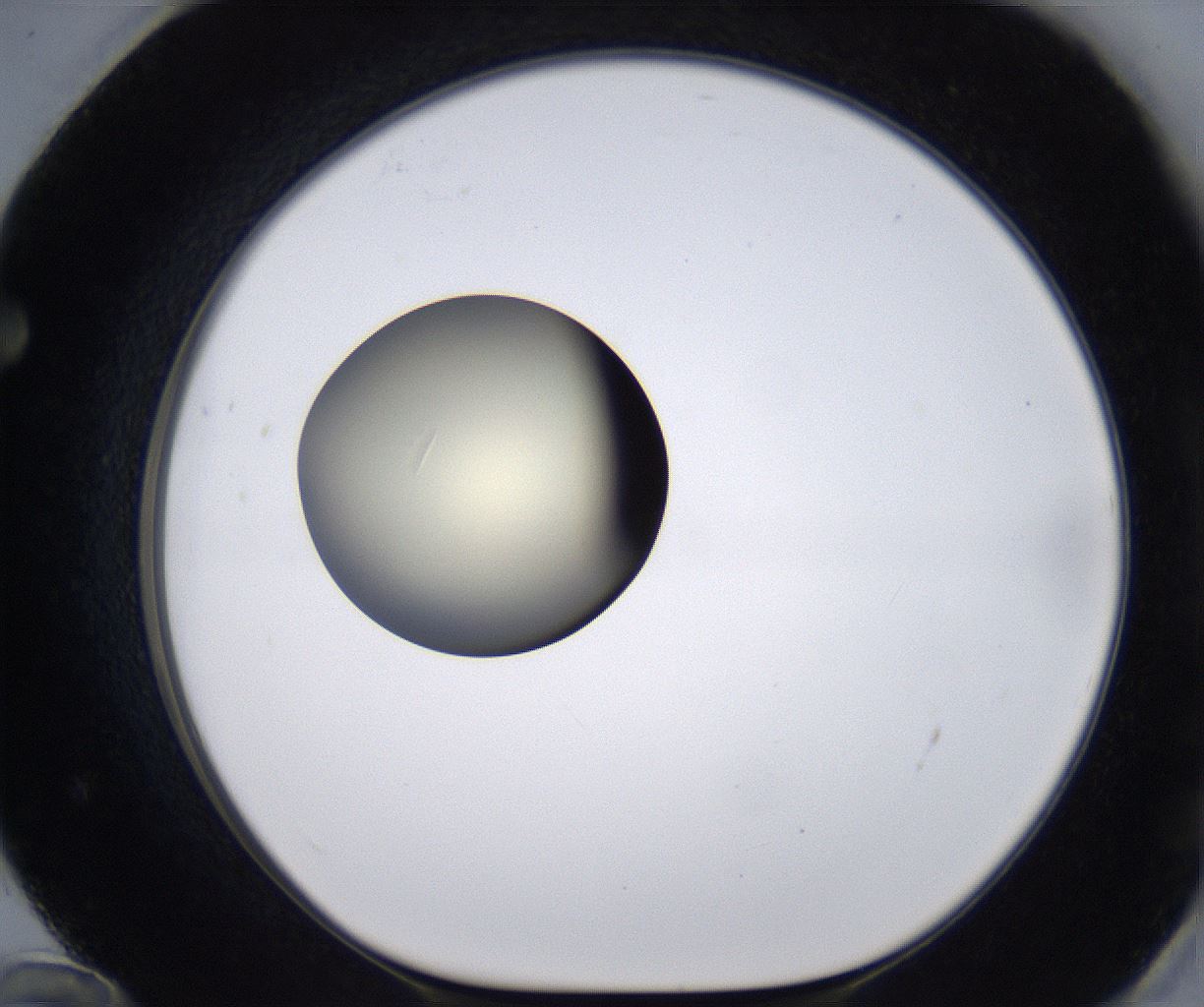 folderID204_plateID2204_batchID9975_wellNum72_profileID1_d1_r149630_ef.jpg