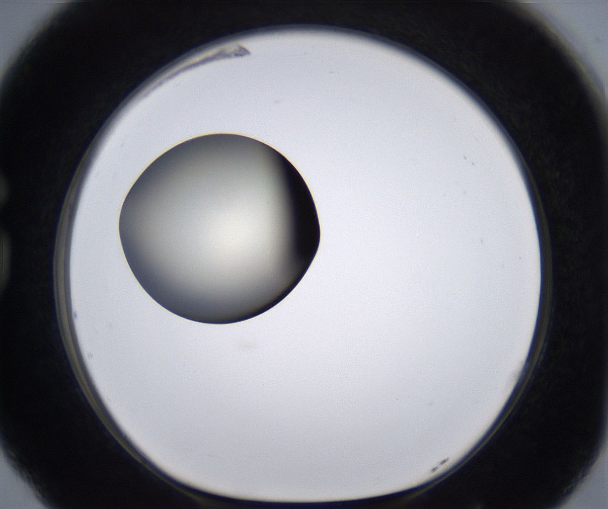 folderID204_plateID2204_batchID9975_wellNum77_profileID1_d1_r149635_ef.jpg