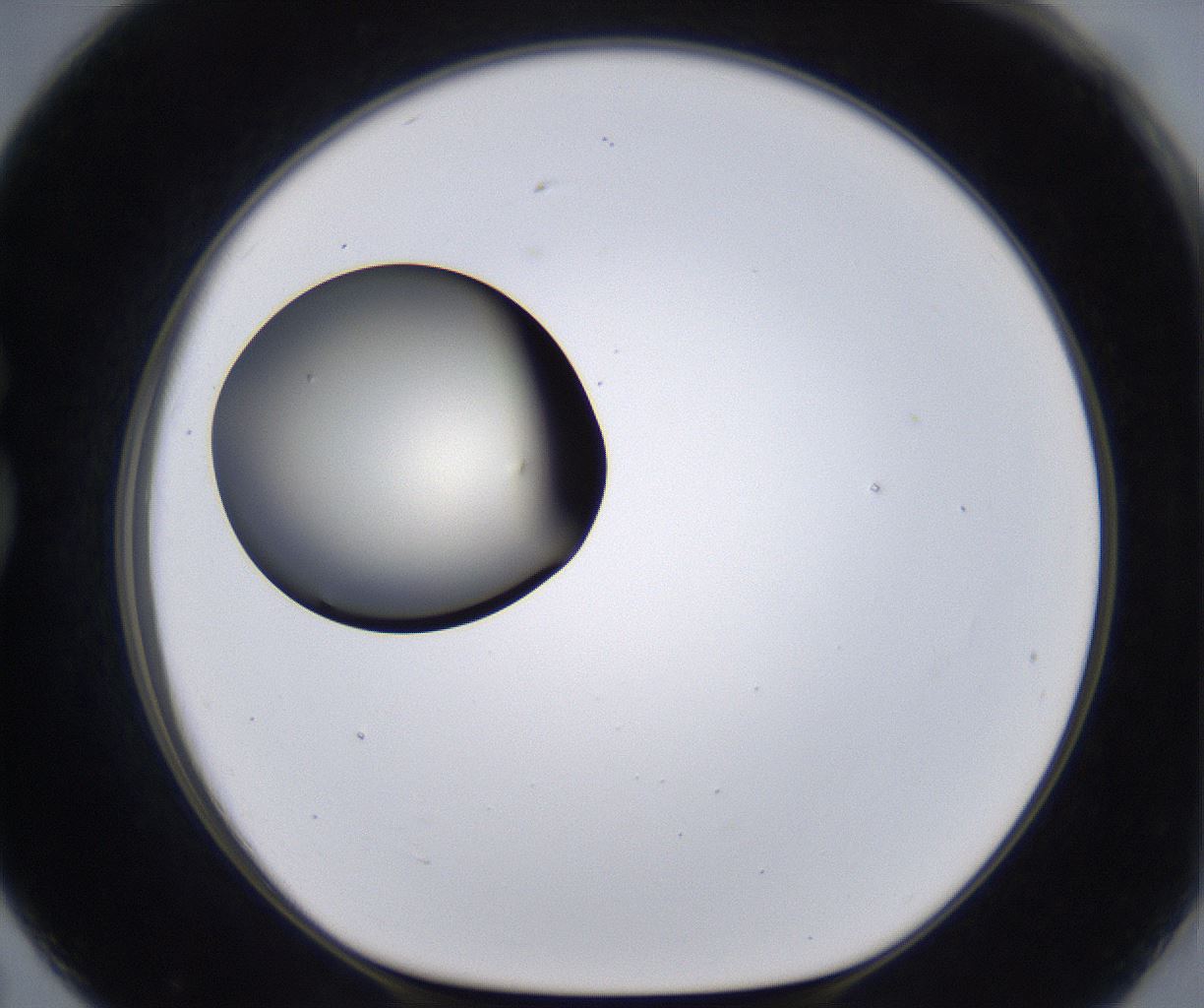 folderID204_plateID2204_batchID9975_wellNum79_profileID1_d1_r149637_ef.jpg