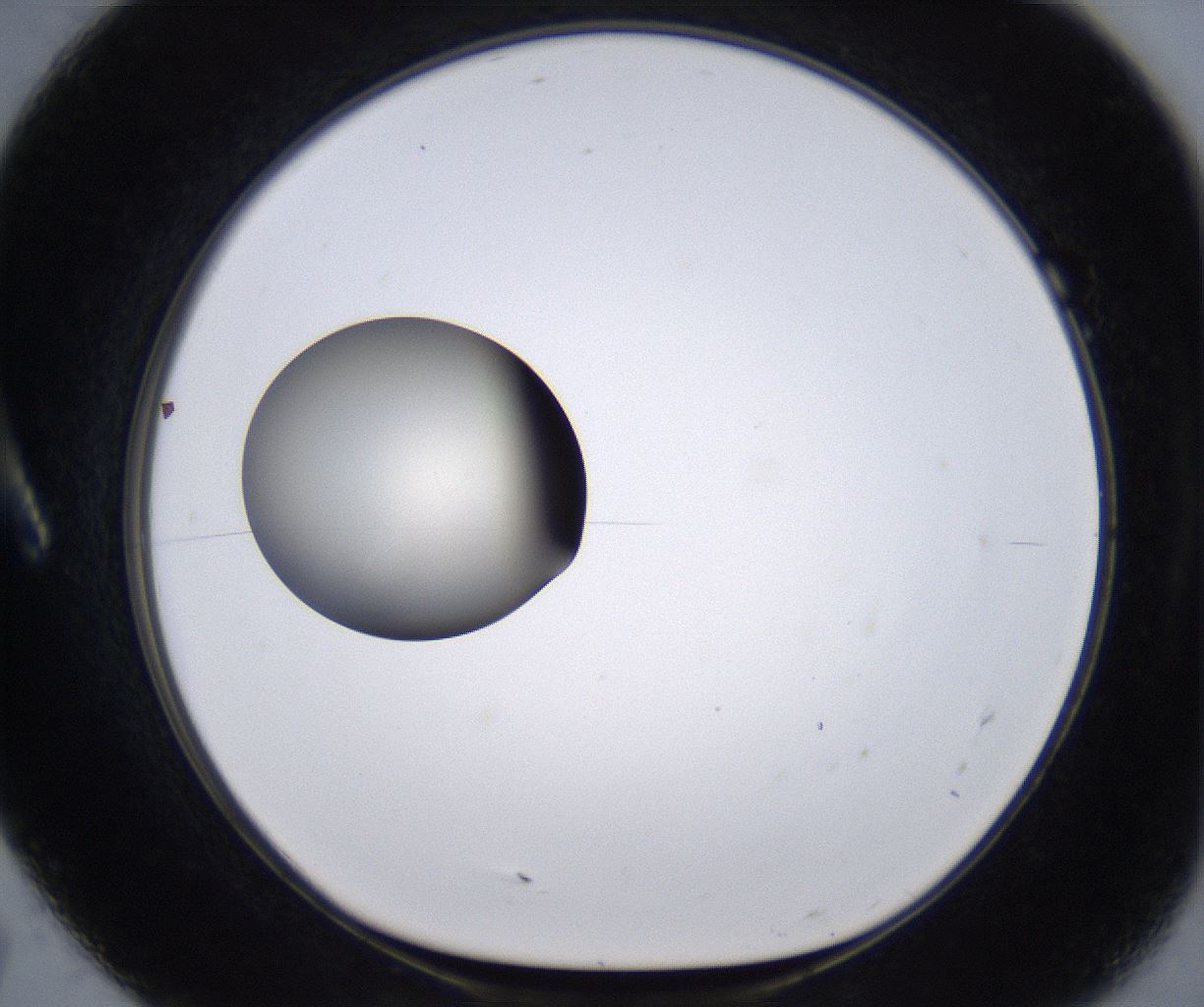 folderID204_plateID2204_batchID9975_wellNum7_profileID1_d1_r149565_ef.jpg