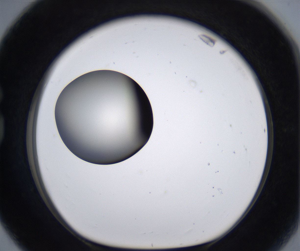 folderID204_plateID2204_batchID9975_wellNum80_profileID1_d1_r149638_ef.jpg