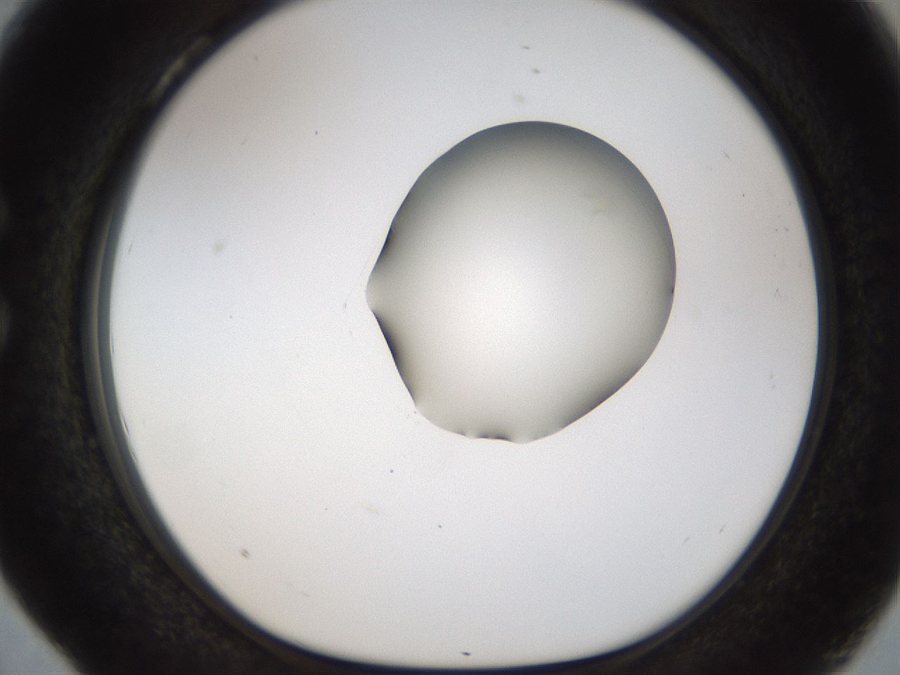folderID454_plateID1454_batchID5531_wellNum28_profileID1_d1_r92311_ef.jpg