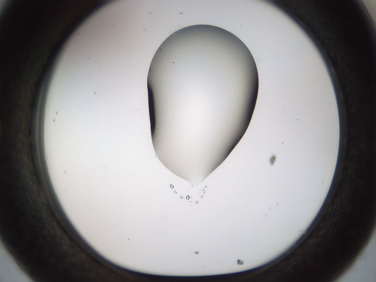 folderID454_plateID1454_batchID5531_wellNum32_profileID1_d1_r92315_ef.jpg