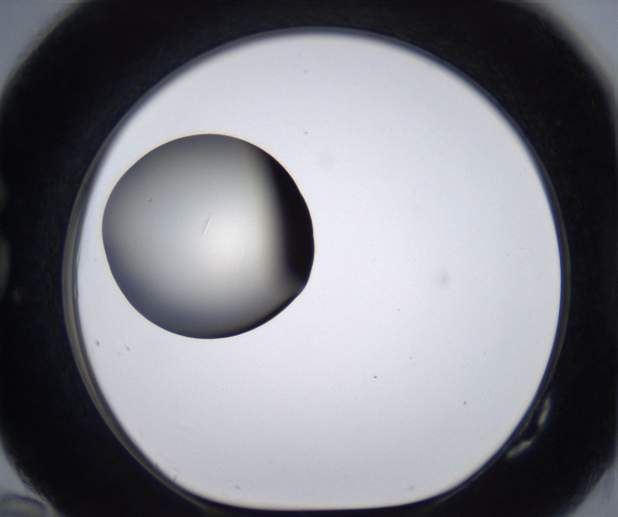 folderID204_plateID2204_batchID9975_wellNum82_profileID1_d1_r149640_ef.jpg
