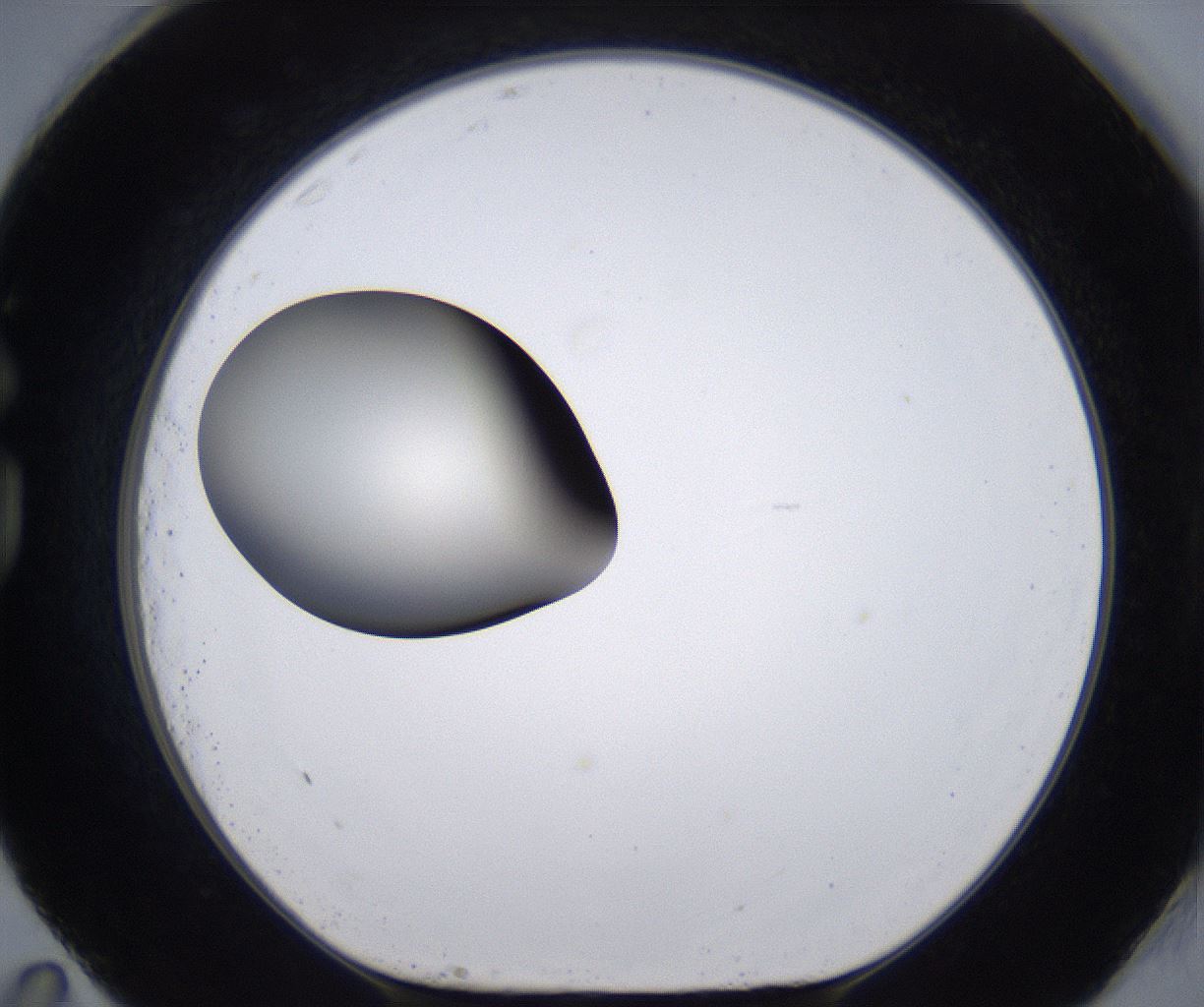 folderID204_plateID2204_batchID9975_wellNum83_profileID1_d1_r149641_ef.jpg