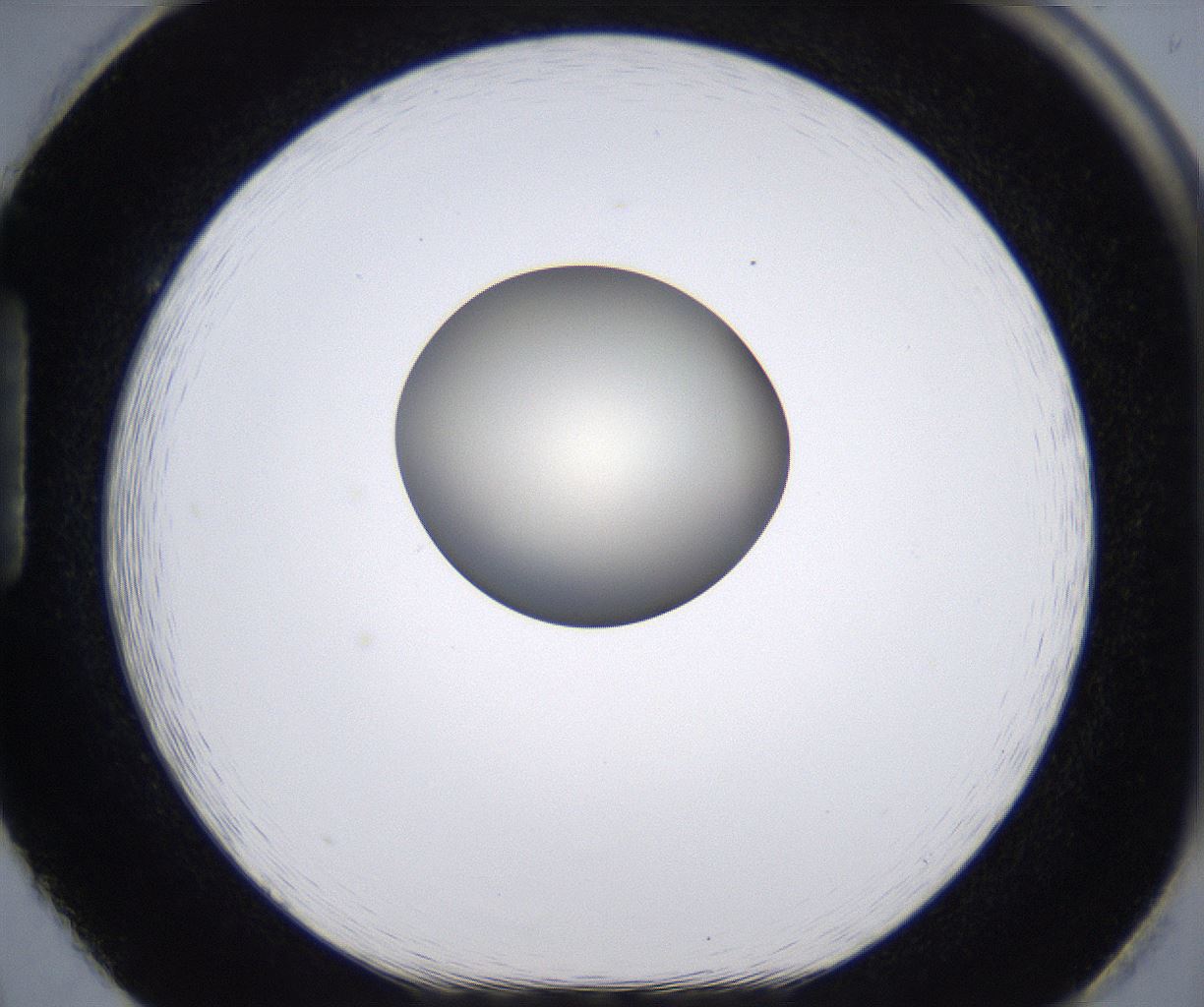 folderID204_plateID2204_batchID9975_wellNum86_profileID1_d1_r149644_ef.jpg