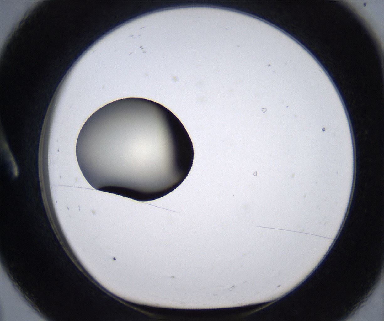 folderID204_plateID2204_batchID9975_wellNum8_profileID1_d1_r149566_ef.jpg