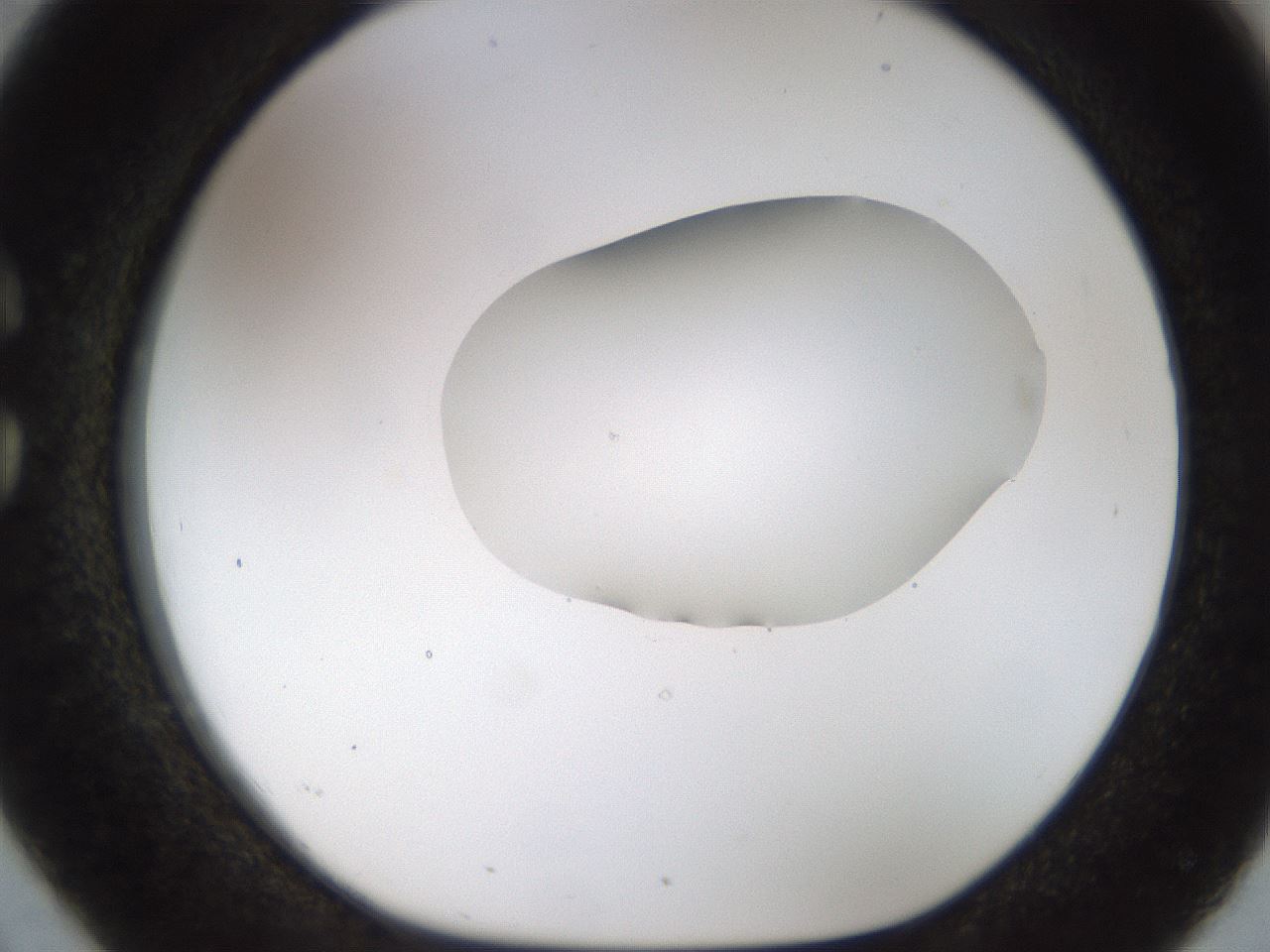folderID454_plateID1454_batchID5531_wellNum26_profileID1_d1_r92309_ef.jpg