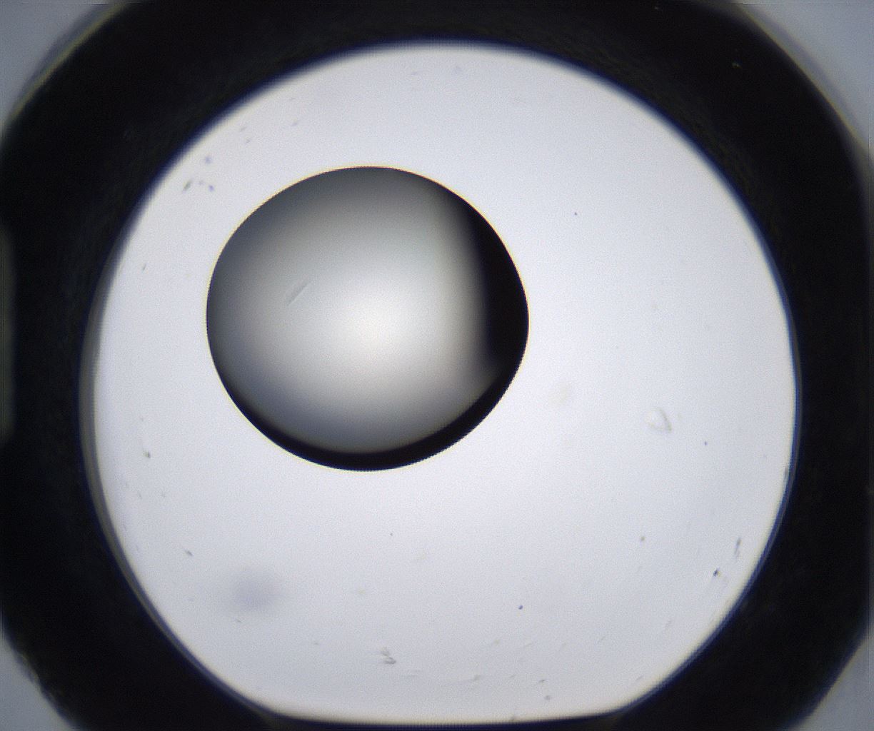 folderID204_plateID2204_batchID9975_wellNum92_profileID1_d1_r149650_ef.jpg