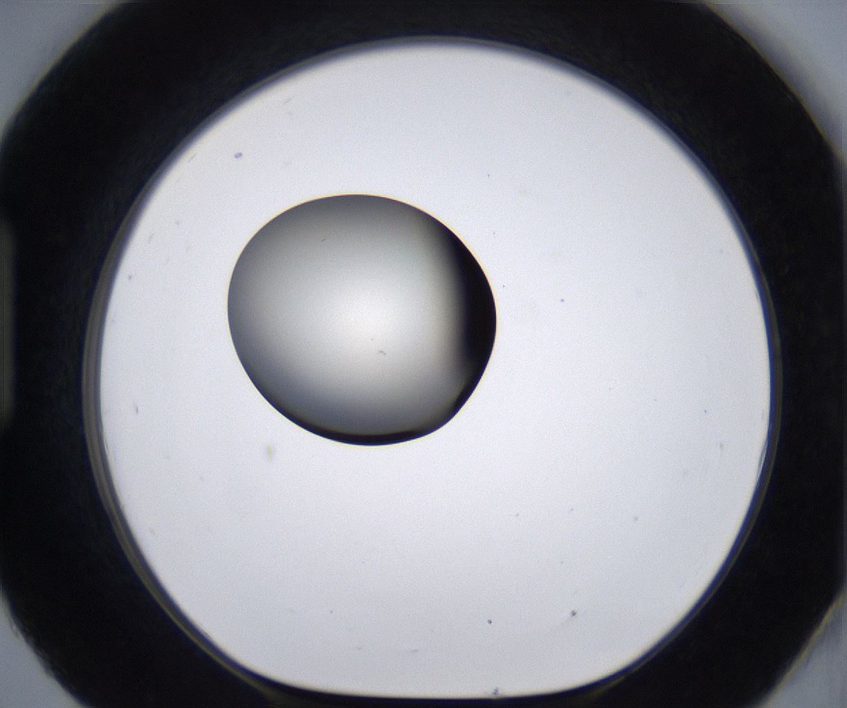 folderID204_plateID2204_batchID9975_wellNum93_profileID1_d1_r149651_ef.jpg