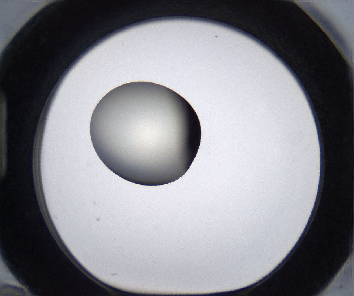 folderID204_plateID2204_batchID9975_wellNum94_profileID1_d1_r149652_ef.jpg