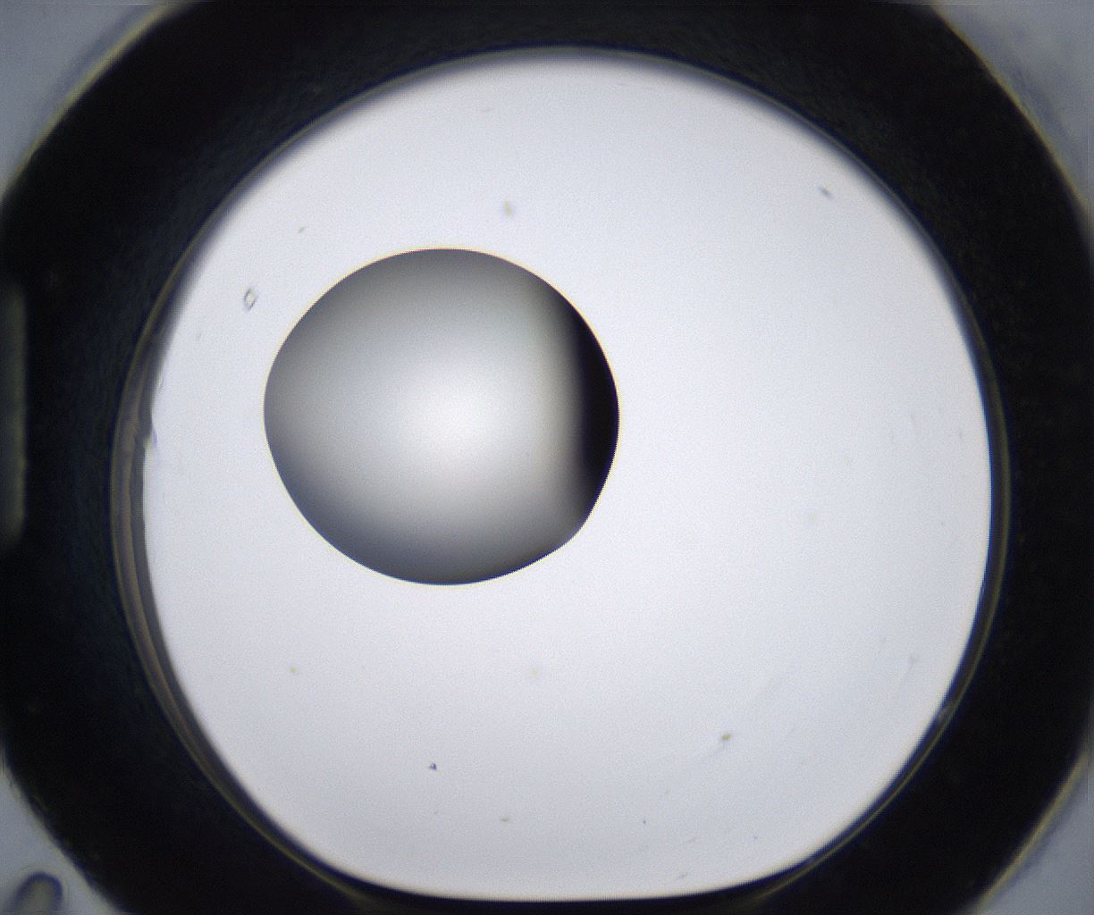 folderID204_plateID2204_batchID9975_wellNum95_profileID1_d1_r149653_ef.jpg