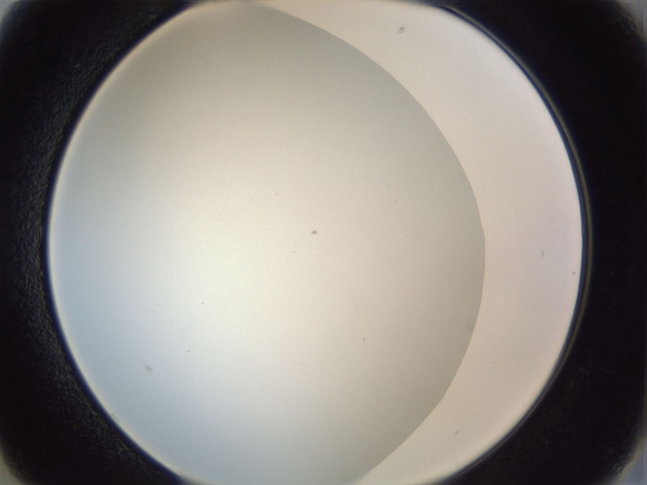 folderID205_plateID1205_batchID3629_wellNum13_profileID1_d2_r66777_ef.jpg