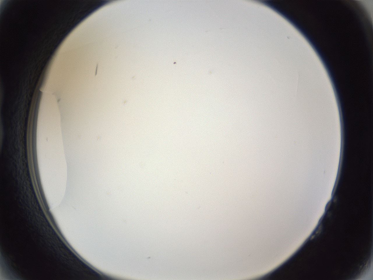 folderID205_plateID1205_batchID3629_wellNum14_profileID1_d1_r66778_ef.jpg
