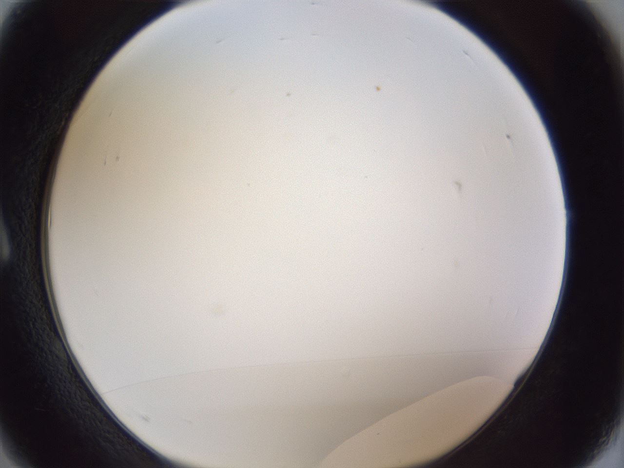 folderID205_plateID1205_batchID3629_wellNum1_profileID1_d1_r66752_ef.jpg