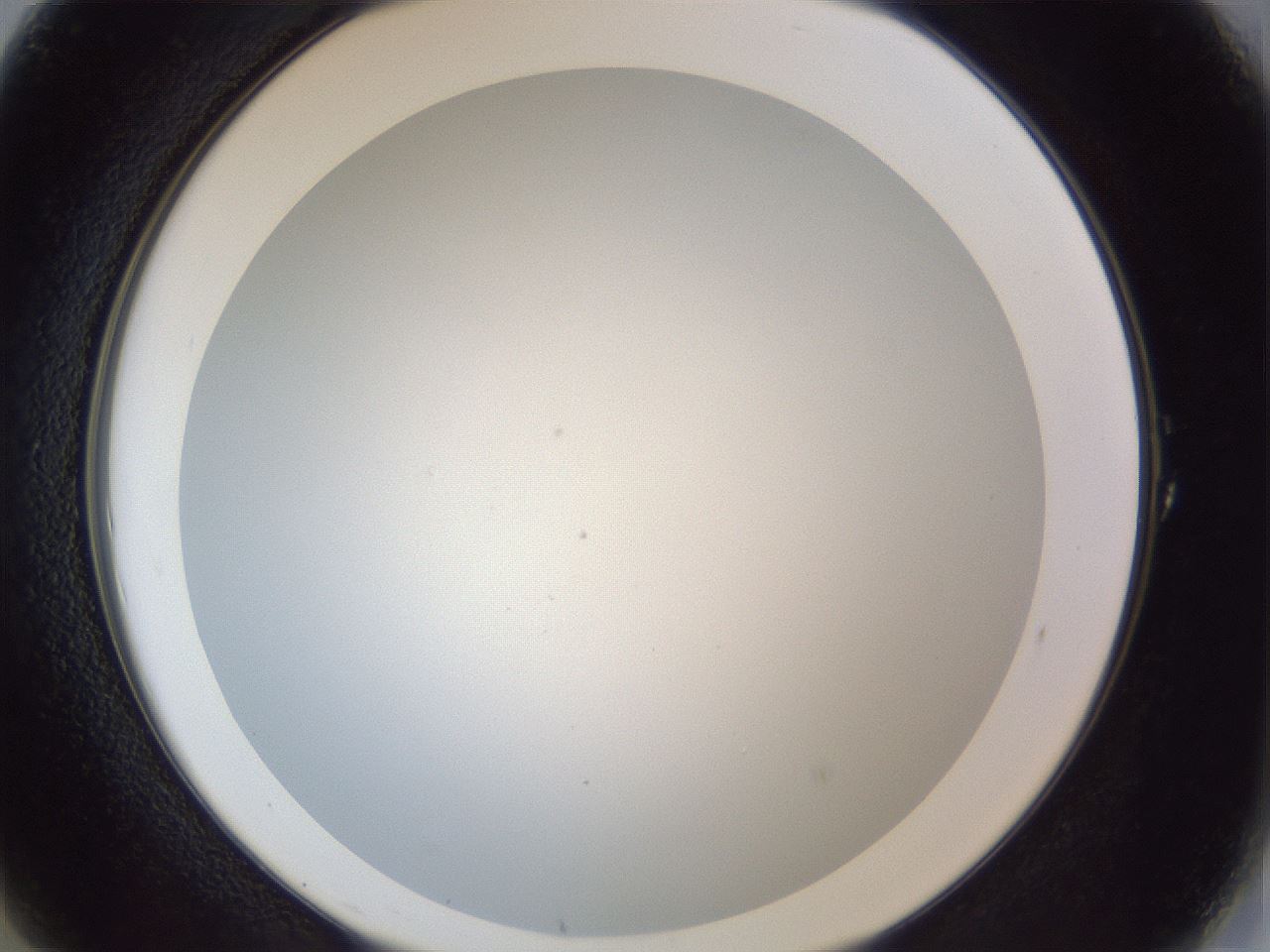 folderID205_plateID1205_batchID3629_wellNum1_profileID1_d2_r66753_ef.jpg