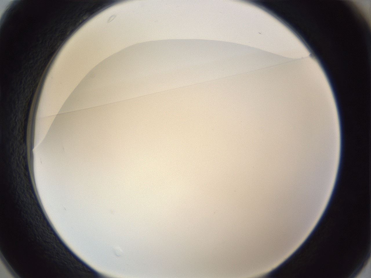 folderID205_plateID1205_batchID3629_wellNum25_profileID1_d1_r66800_ef.jpg