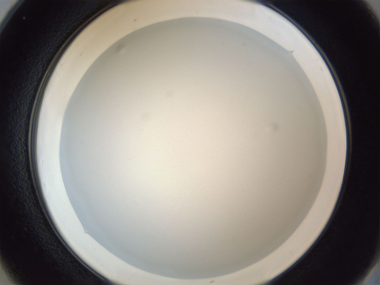 folderID205_plateID1205_batchID3629_wellNum25_profileID1_d2_r66801_ef.jpg