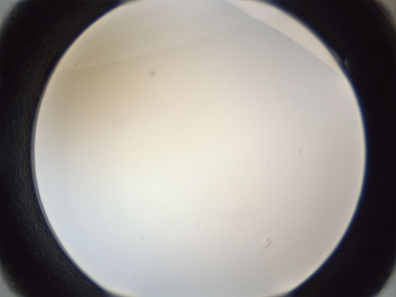 folderID205_plateID1205_batchID3629_wellNum49_profileID1_d1_r66848_ef.jpg