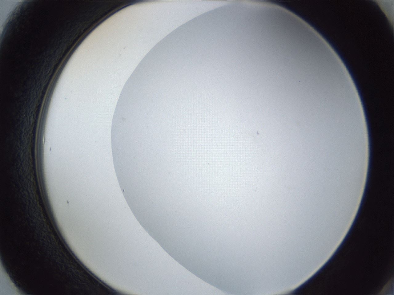 folderID205_plateID1205_batchID3629_wellNum61_profileID1_d2_r66873_ef.jpg