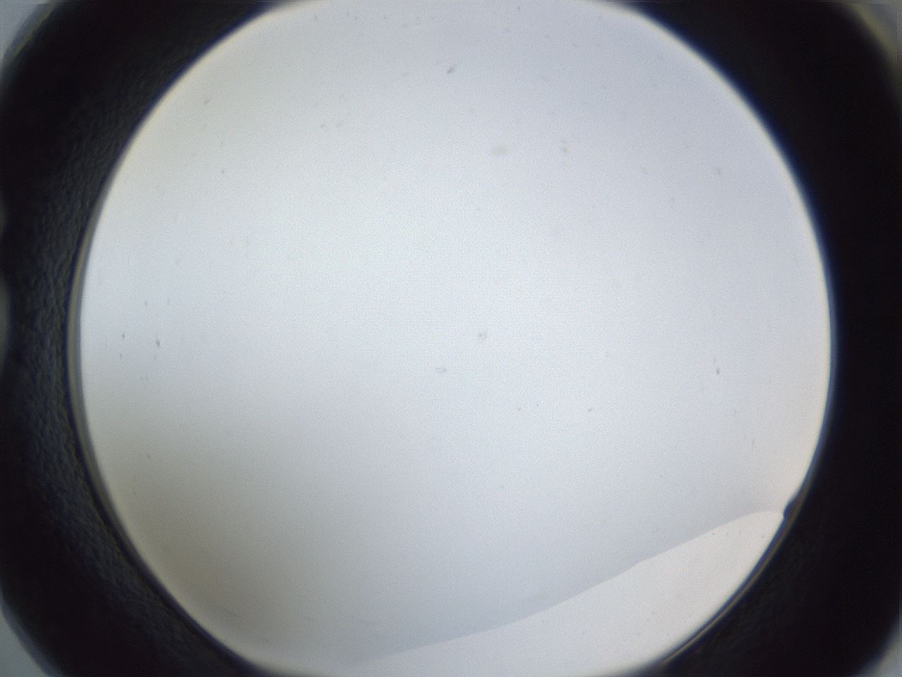 folderID205_plateID1205_batchID3629_wellNum73_profileID1_d1_r66896_ef.jpg
