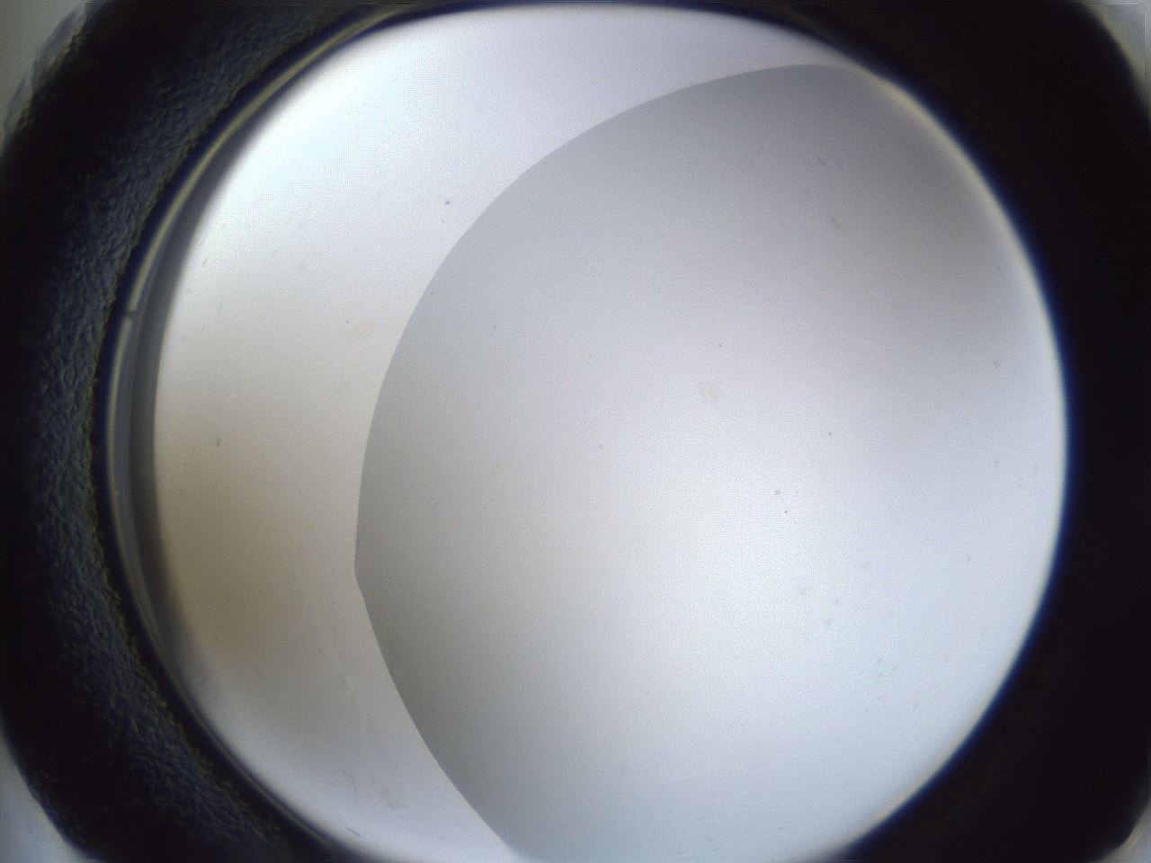 folderID205_plateID1205_batchID3629_wellNum73_profileID1_d2_r66897_ef.jpg