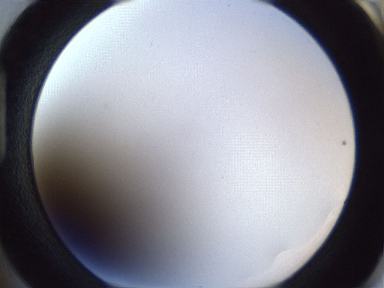 folderID205_plateID1205_batchID3629_wellNum85_profileID1_d1_r66920_ef.jpg