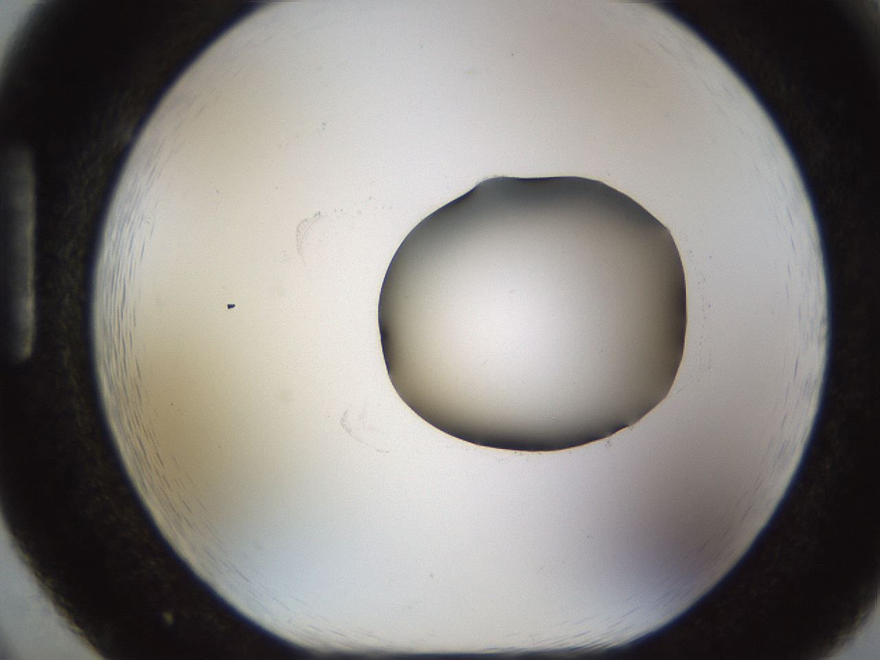 folderID454_plateID1454_batchID5531_wellNum86_profileID1_d1_r92369_ef.jpg