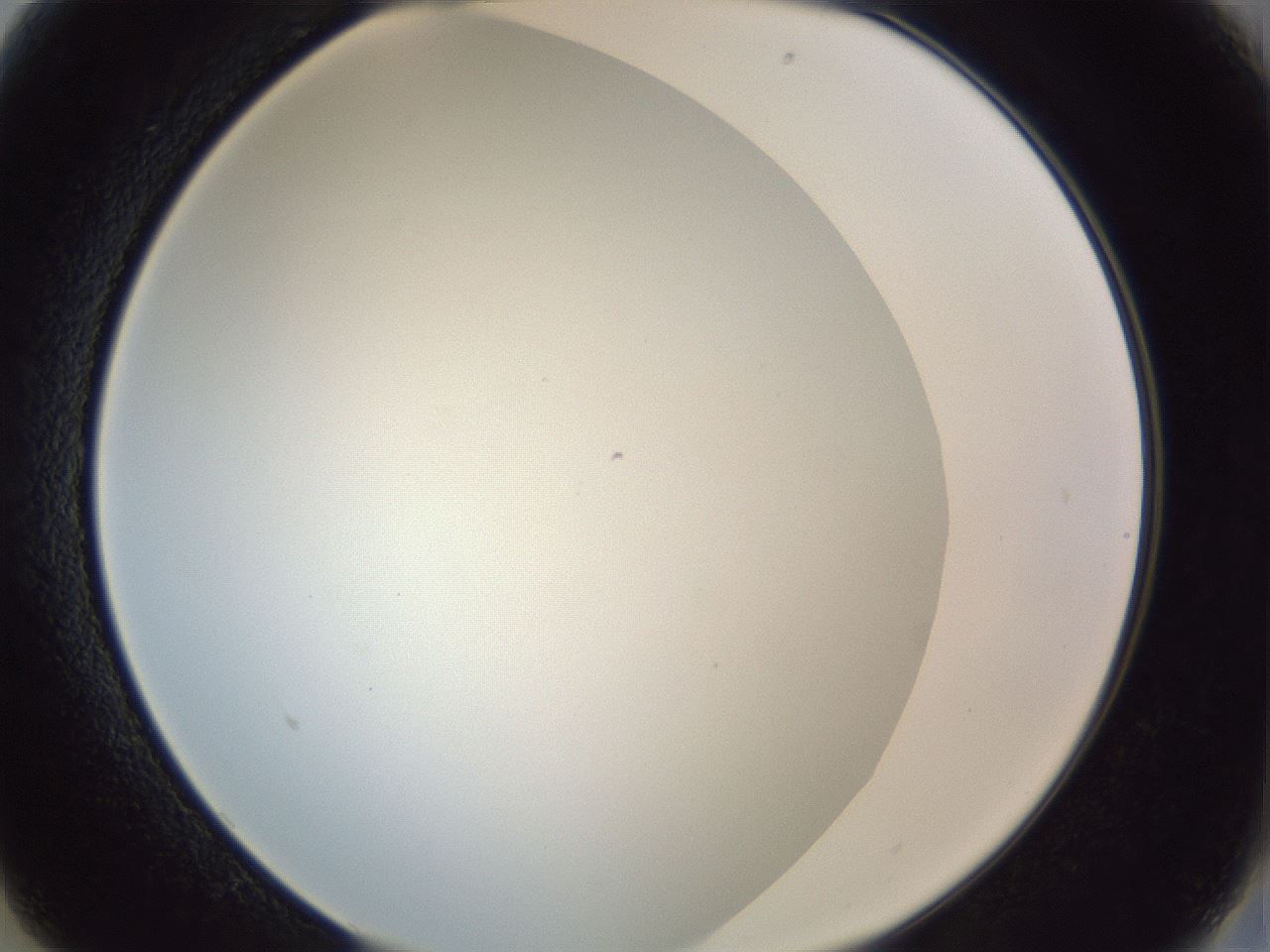 folderID205_plateID1205_batchID3675_wellNum13_profileID1_d2_r66777_ef.jpg