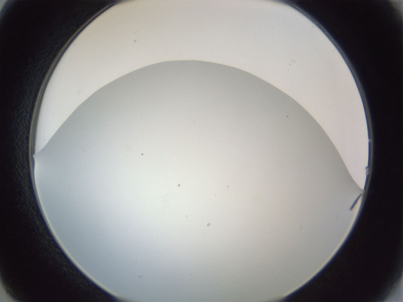 folderID205_plateID1205_batchID3675_wellNum14_profileID1_d2_r66779_ef.jpg