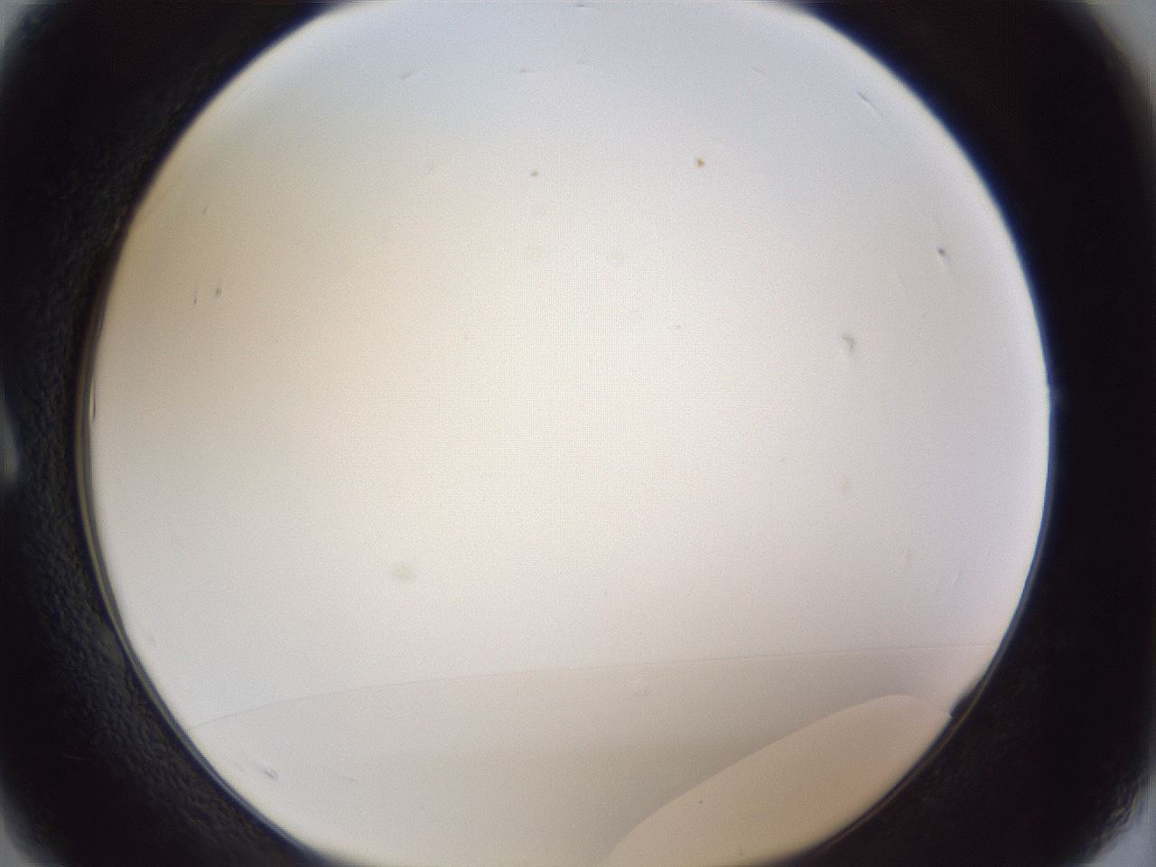 folderID205_plateID1205_batchID3675_wellNum1_profileID1_d1_r66752_ef.jpg