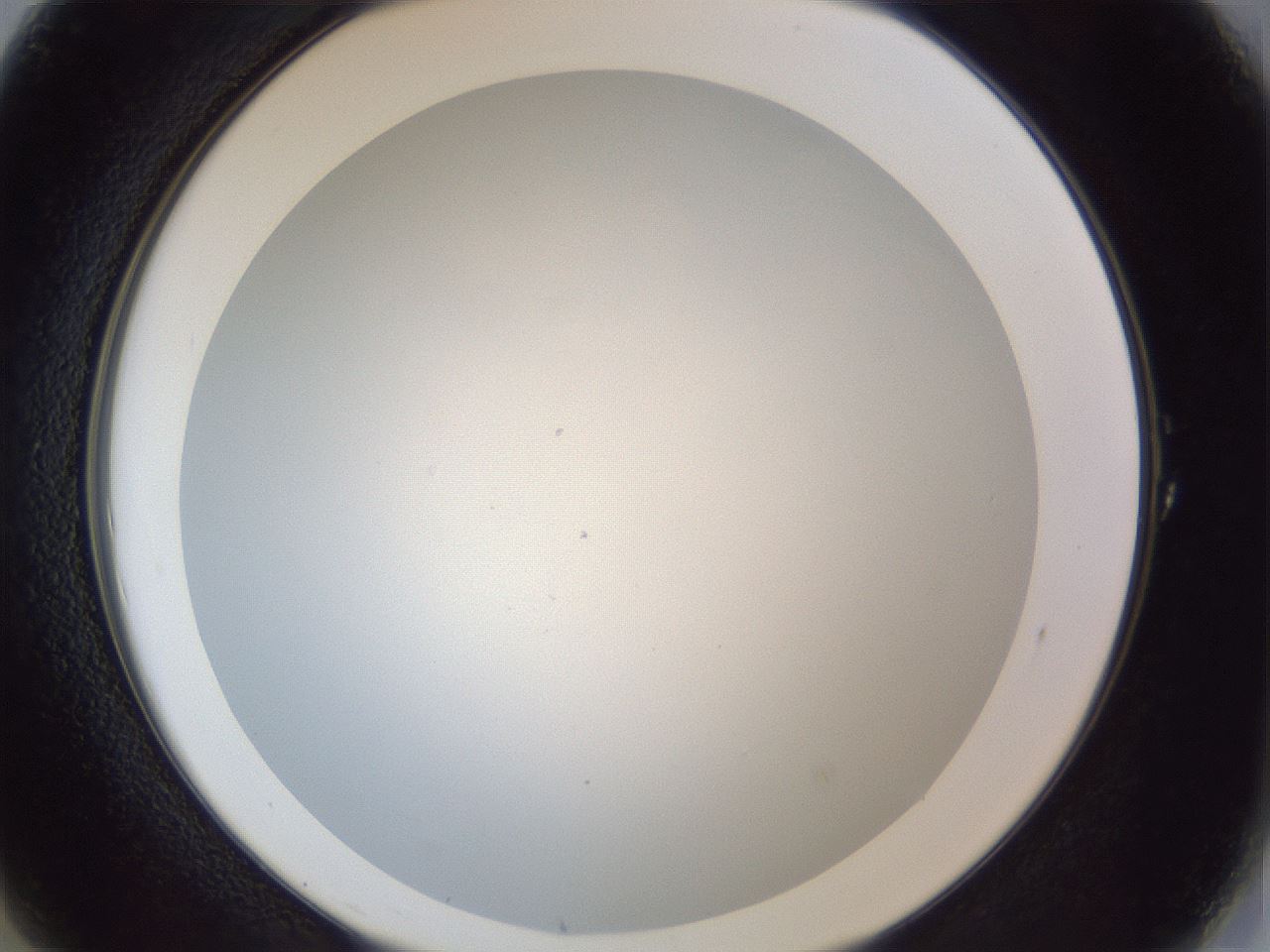 folderID205_plateID1205_batchID3675_wellNum1_profileID1_d2_r66753_ef.jpg