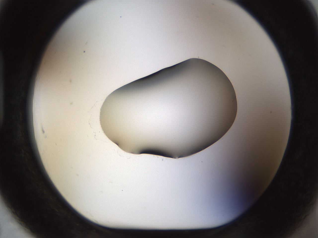 folderID454_plateID1454_batchID5531_wellNum91_profileID1_d1_r92374_ef.jpg