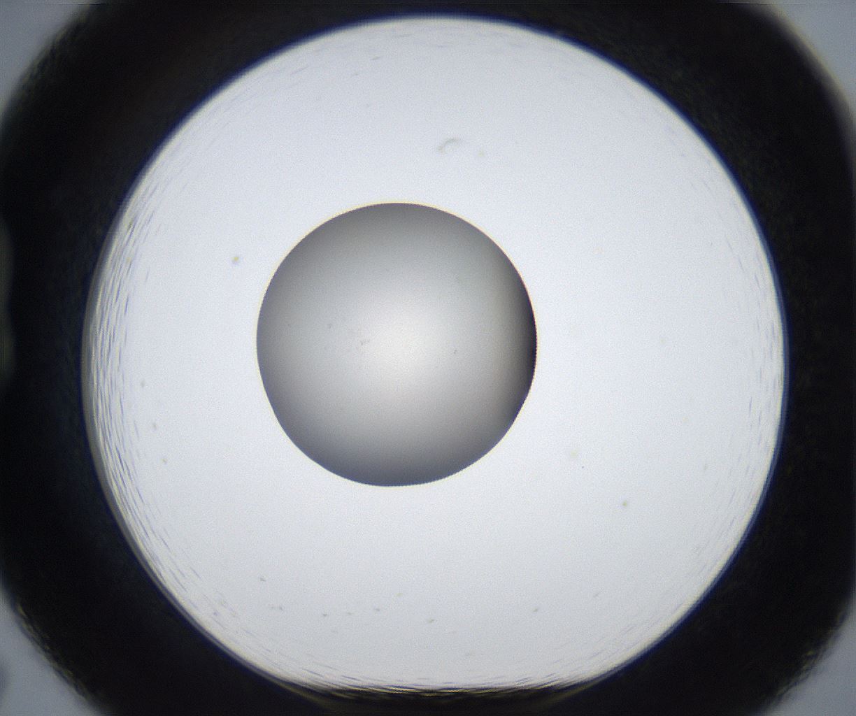 folderID454_plateID2454_batchID11798_wellNum19_profileID1_d1_r183044_ef.jpg