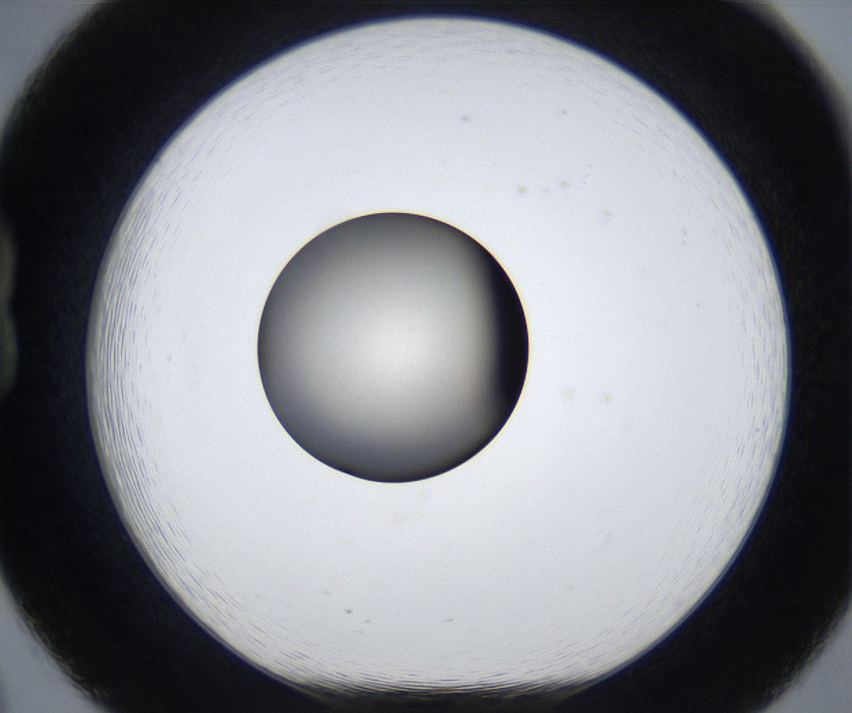 folderID454_plateID2454_batchID11798_wellNum20_profileID1_d1_r183046_ef.jpg