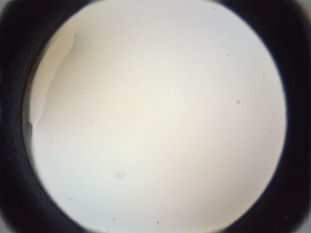 folderID205_plateID1205_batchID3675_wellNum26_profileID1_d1_r66802_ef.jpg
