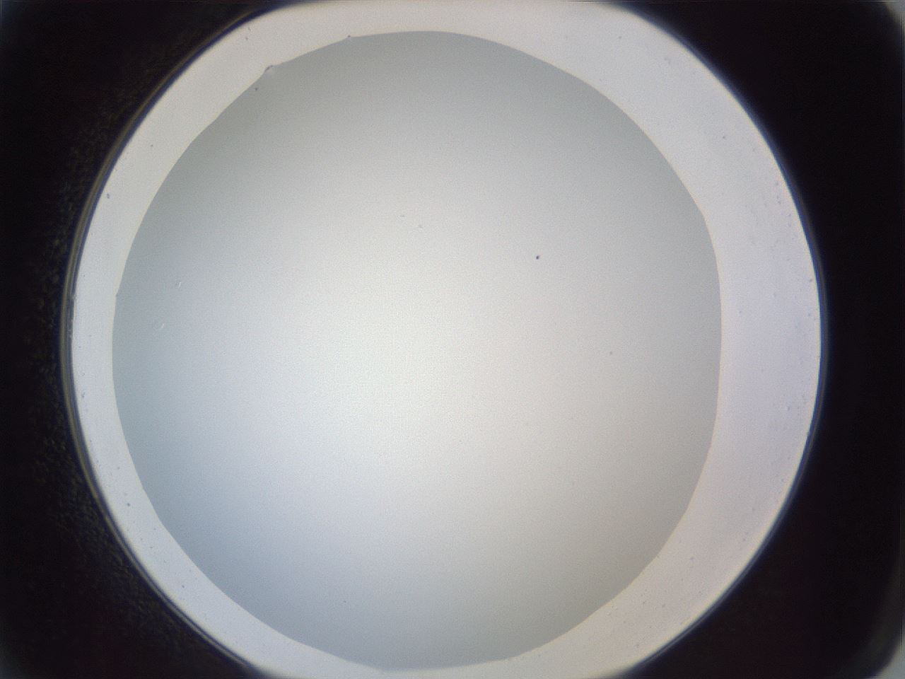 folderID205_plateID1205_batchID3675_wellNum2_profileID1_d2_r66755_ef.jpg
